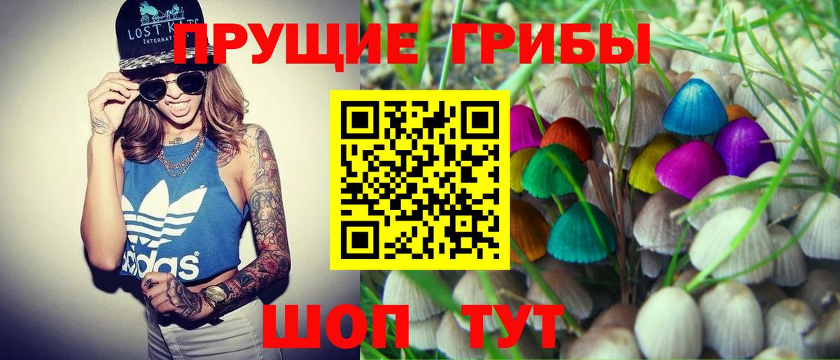 Галлюциногенные грибы Magic Shrooms Салават