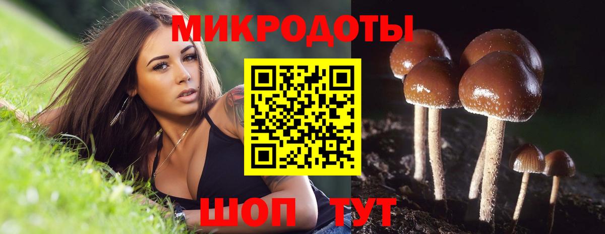 Псилоцибиновые грибы мухоморы  Псилоцибиновые грибы прущие грибы  Вход с VPN  Салават 